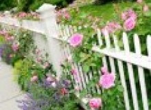 Kwikfynd Garden fencing
bruceact